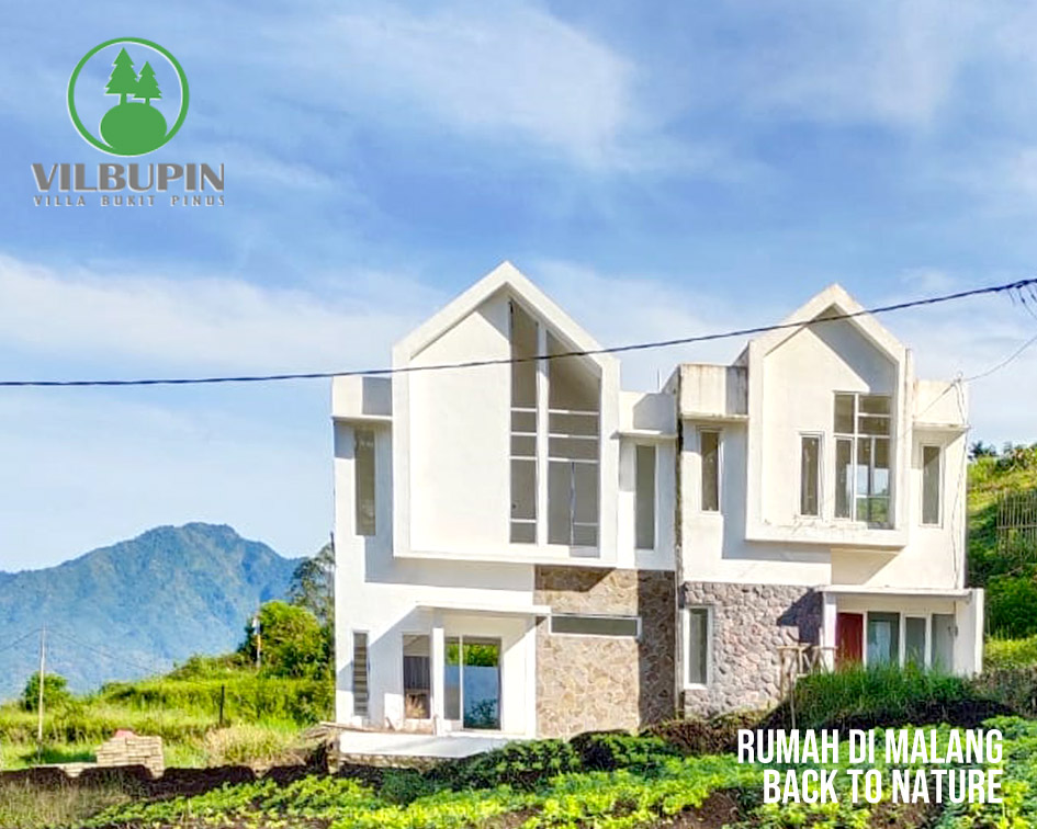 Villa Bukit Pinus Pujon Batu Jawa Timur. Photo by yanti