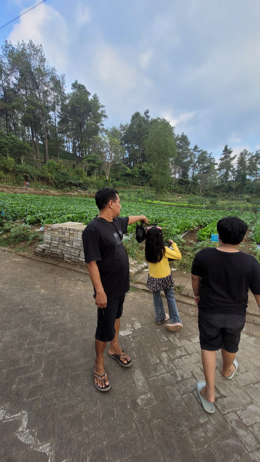 Kunjungan user ke Vila Bukit Pinus hari ini. Photo by hakim