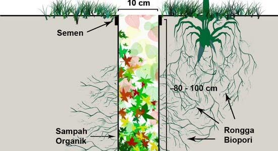 MENANGKAL BANJIR DENGAN LUBANG RESAPAN BIOPORI